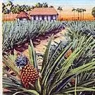 thumbnail for publication: Encuesta de Trabajadores Agrícolas Cubanos, 1956-57